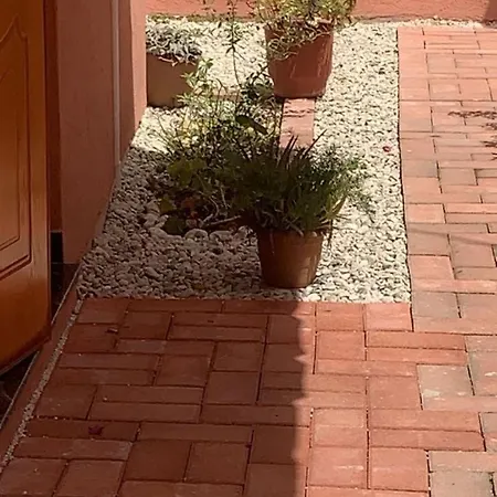 Apartament Terracotta House 1 *
