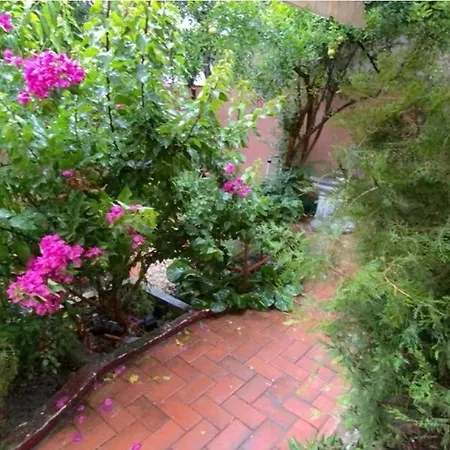 Apartament Terracotta House 1 Wlora