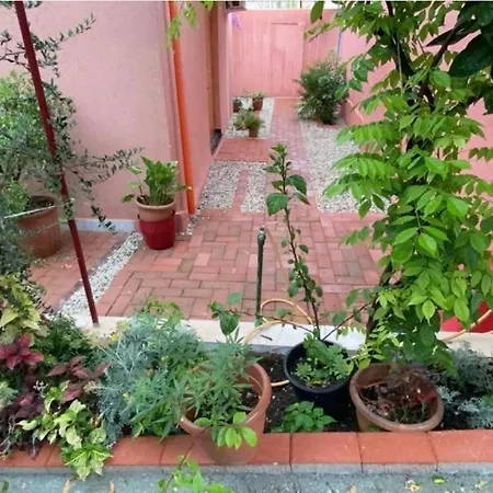 Terracotta House 1 *
