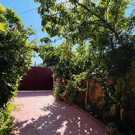 Terracotta House 1 *